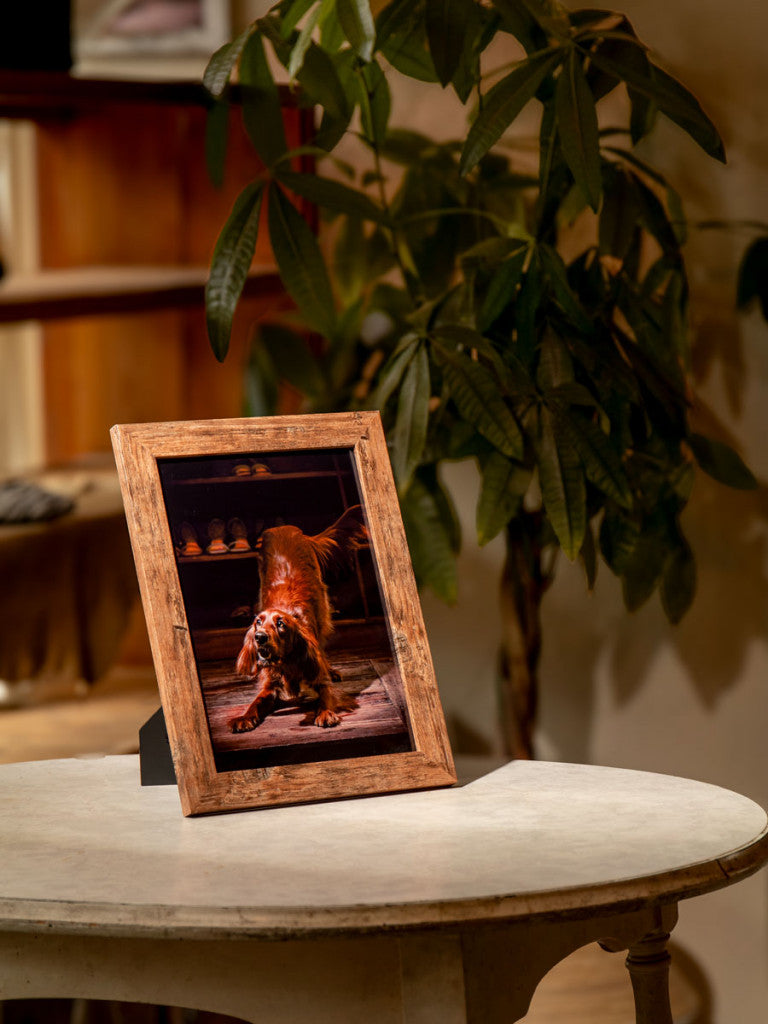 フォトサービスの予約