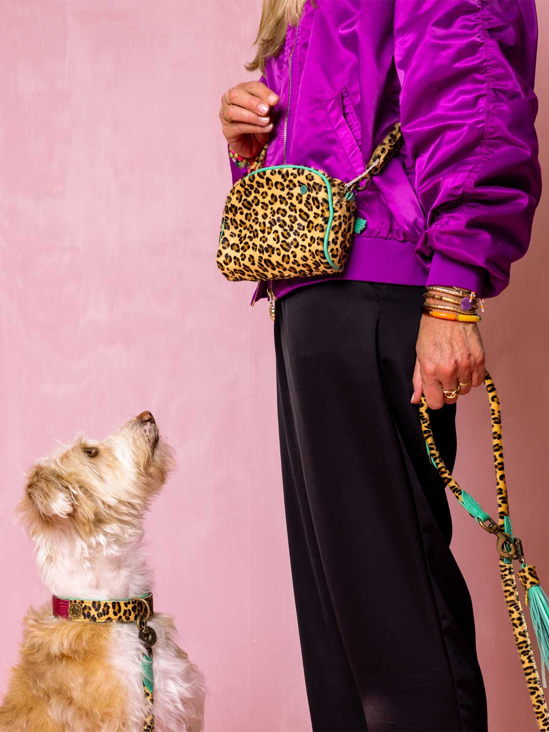 [Pre-order] Travel Mate Dog Carry Bag / DOG WITH A MISSION