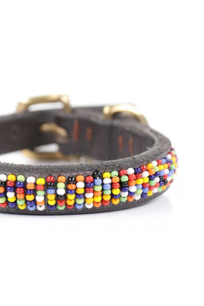 Confetti Beaded Dog Collar 8" コンフェッティ・ビーズドッグカラー / by THE KENYAN COLLECTION