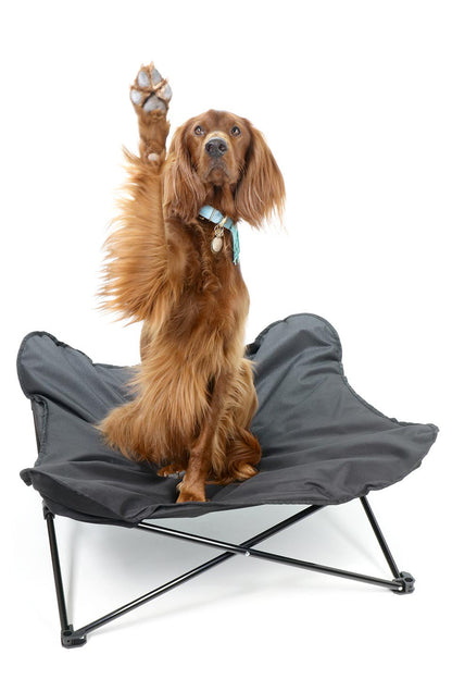 Folding Outdoor Dog Cot 折りたたみ・アウトドアドッグコット