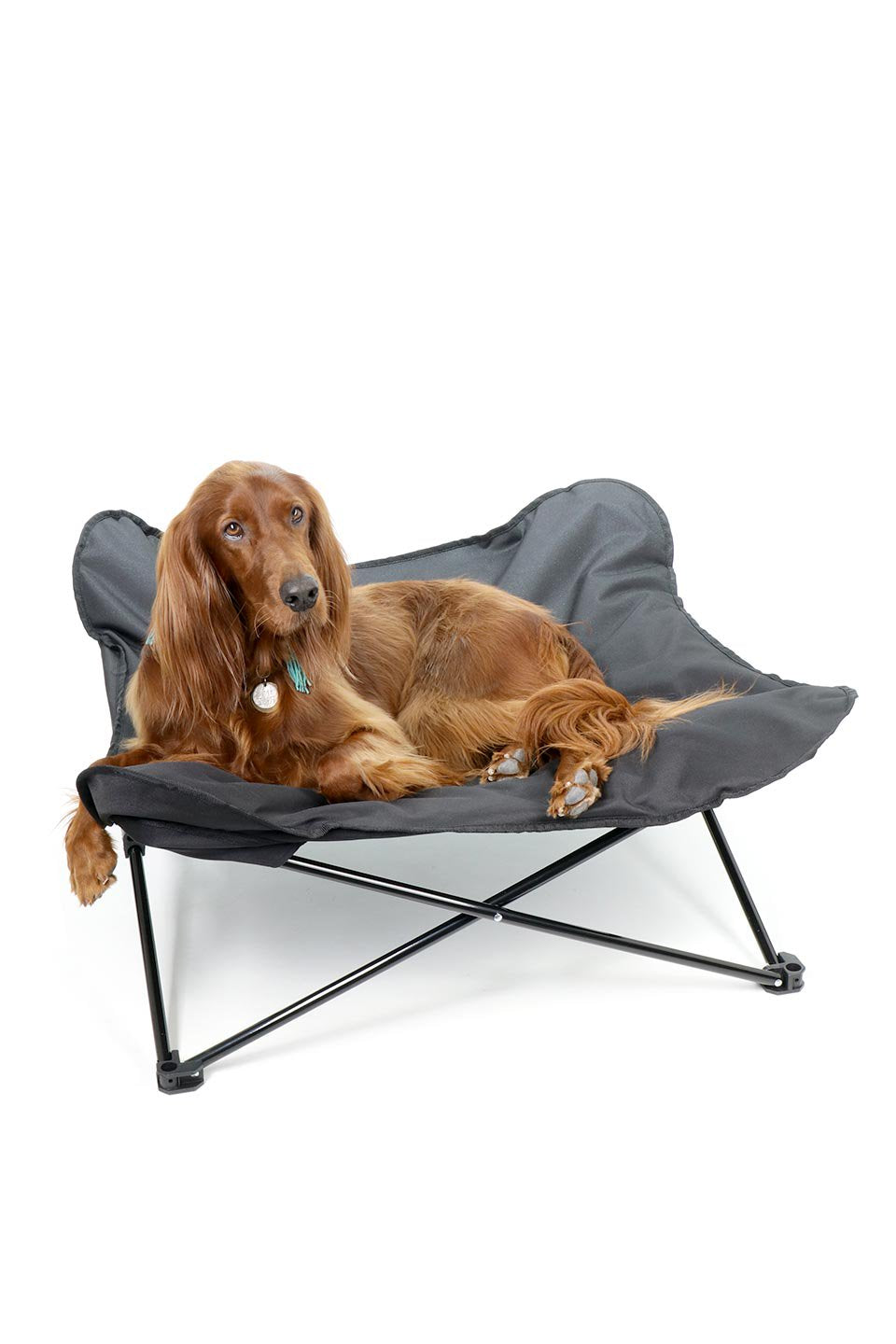 Folding Outdoor Dog Cot 折りたたみ・アウトドアドッグコット