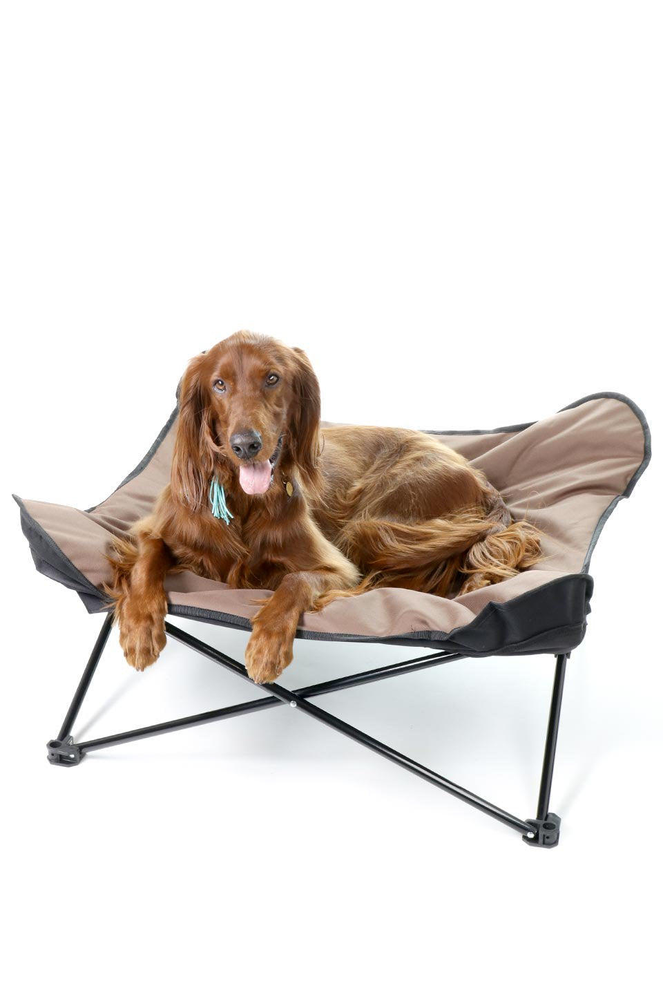 Folding Outdoor Dog Cot 折りたたみ・アウトドアドッグコット