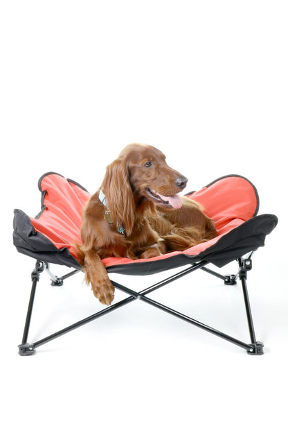 Folding Outdoor Dog Cot 折りたたみ・アウトドアドッグコット