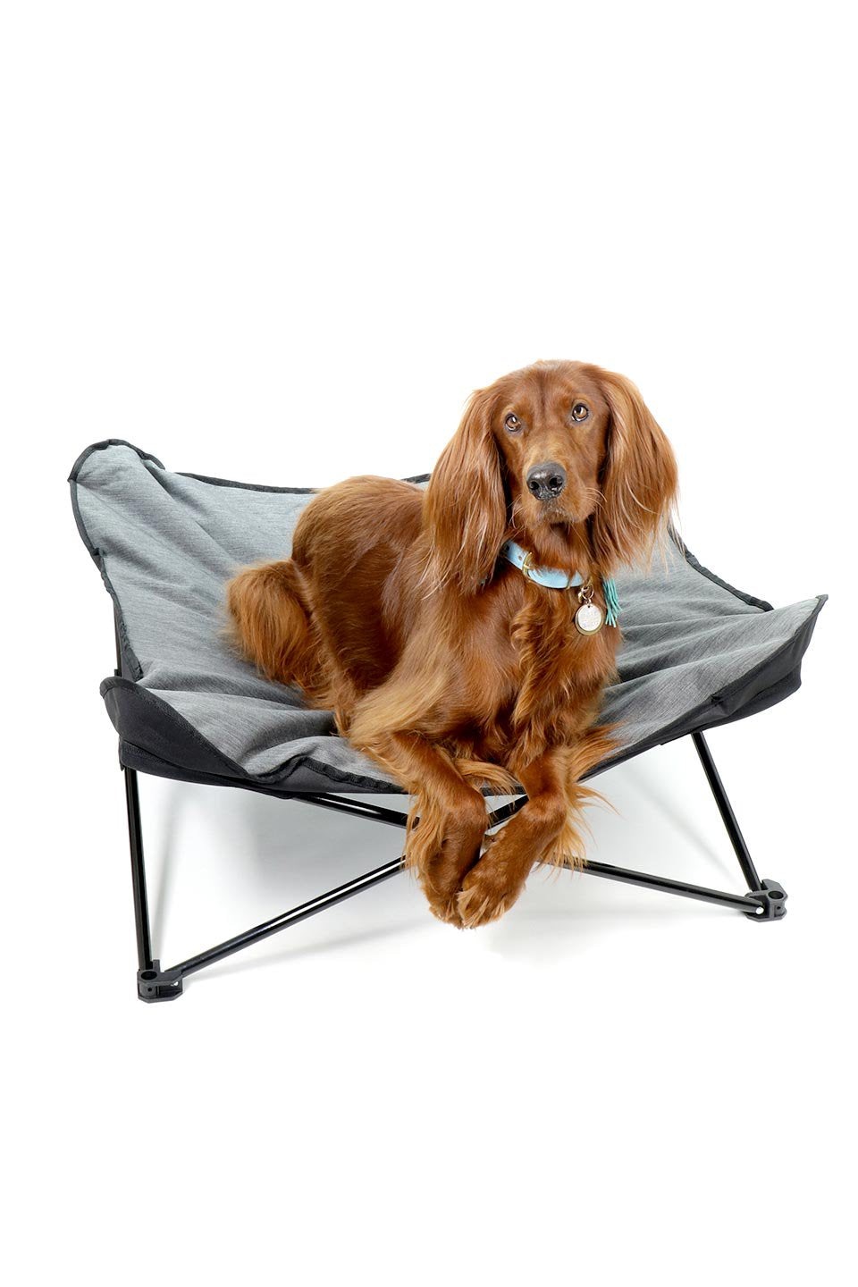 Folding Outdoor Dog Cot 折りたたみ・アウトドアドッグコット