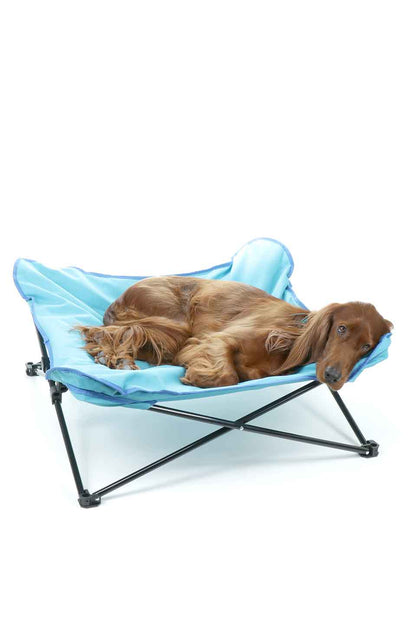 Folding Outdoor Dog Cot 折りたたみ・アウトドアドッグコット（別注カラー）