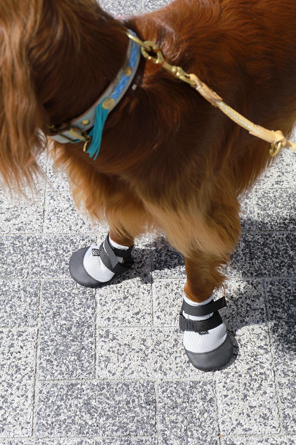 Ultra Cool Dog Boots ウルトラクール・ドッグブーツ / Ultra Paws